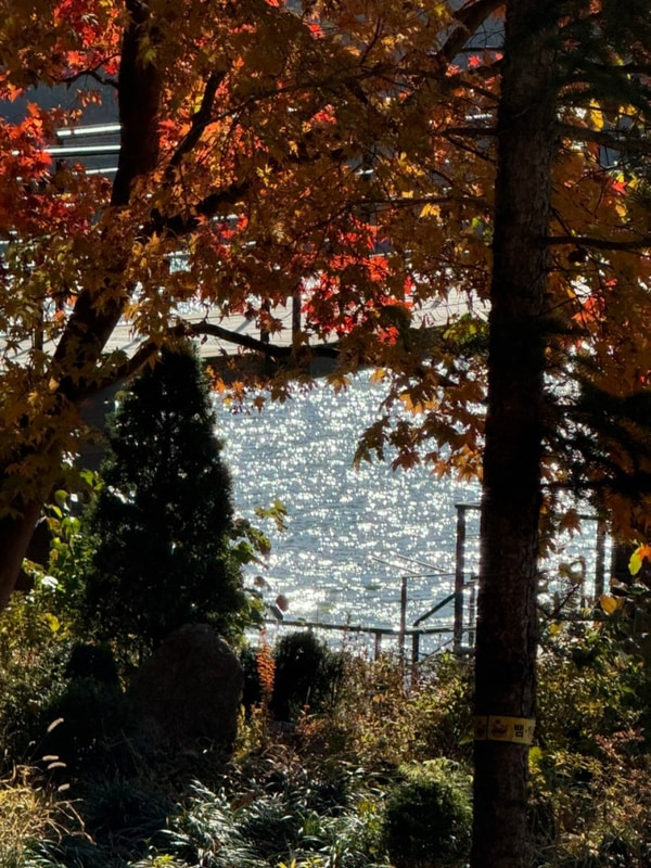 [여행] 11월 가평에서 글램핑하기 : 하늘숲캠핑장, 남이섬...