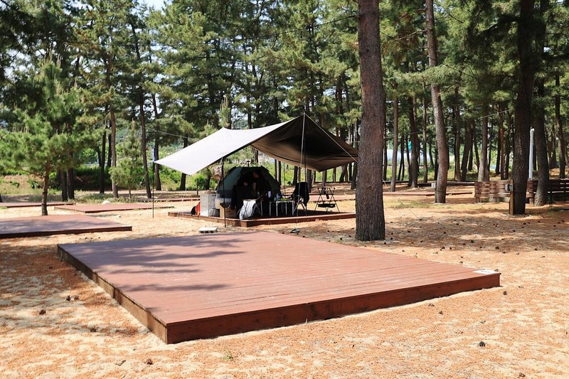 북분솔밭캠핑장 시설 사진 14