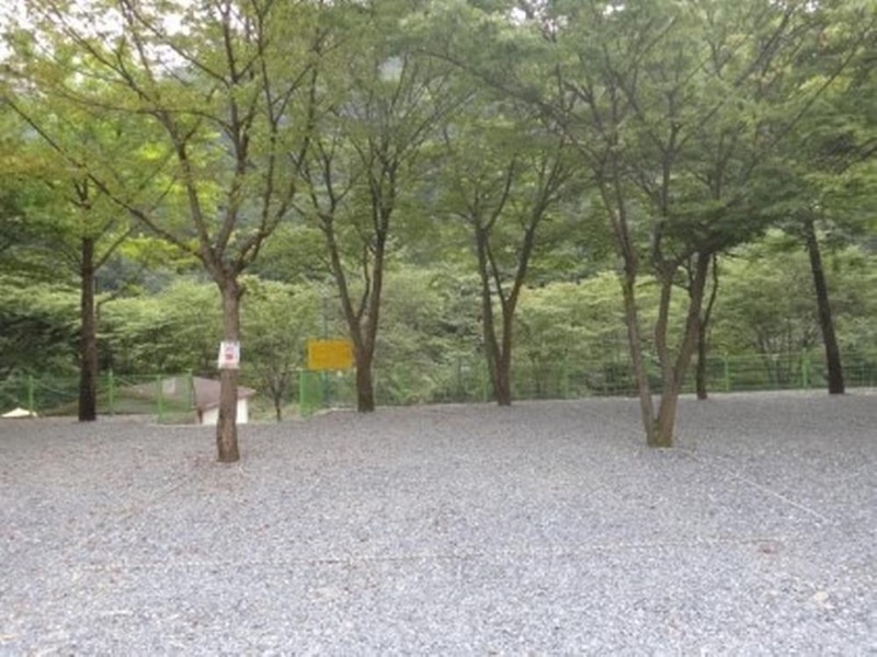 금방아 민박캠핑장 시설 사진 17