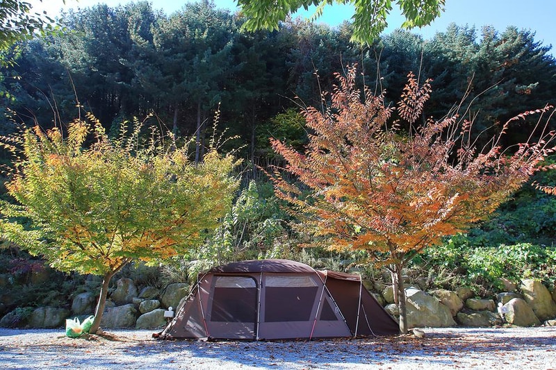 비로야영장 시설 사진 5