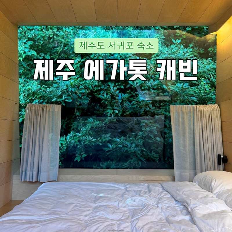 제주도 캠핑 서귀포 감성 숙소추천, 조용한 숲속뷰 에가톳 캐빈