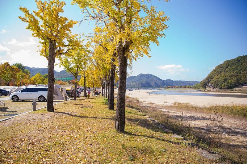 정양레포츠공원 오토캠핑장 시설 사진 11