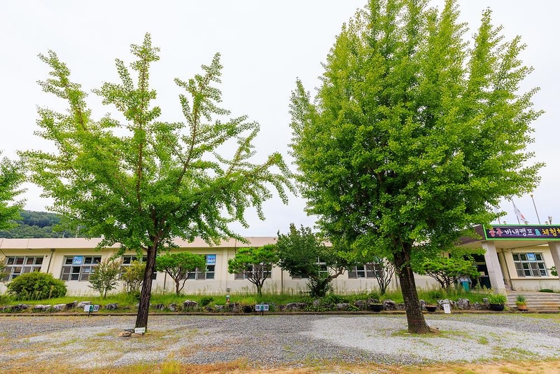 충주 비내캠프 체험학습장 시설 사진 15