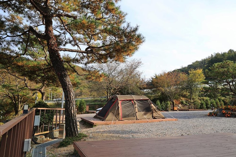 달사랑 캠핑장 시설 사진 5