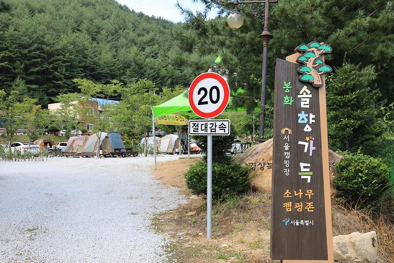 봉화솔향가득서울캠핑장 시설 사진 23