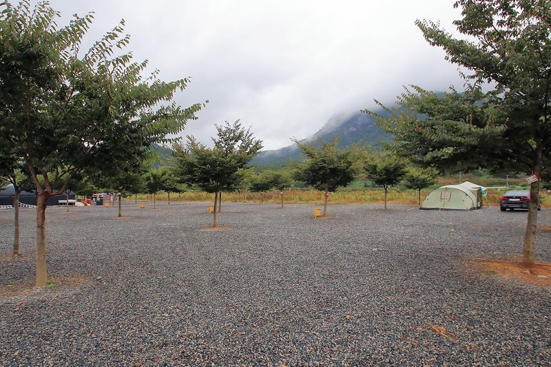 캠프원 관광농원 시설 사진 19