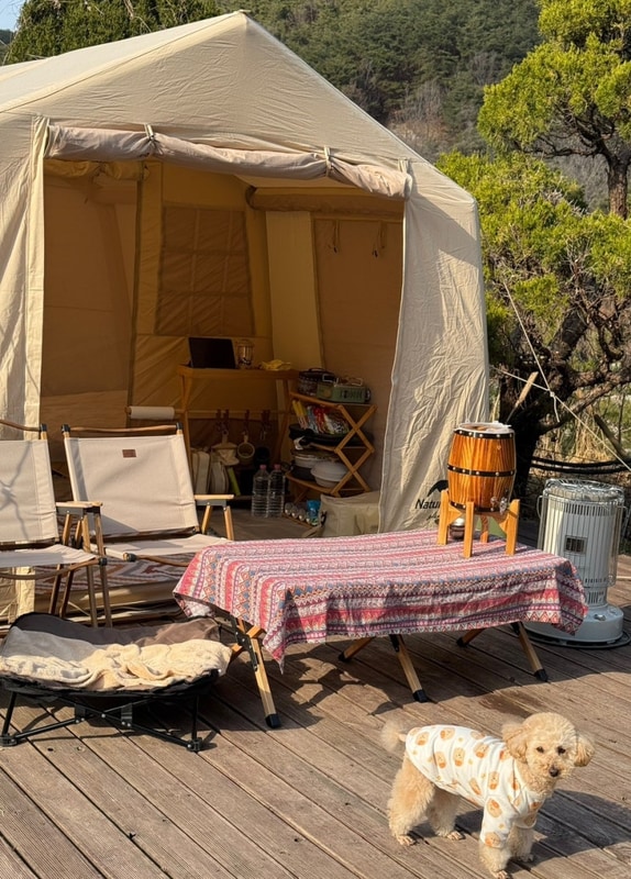 경북 고령 트리독스애견전용캠핑장 (사이트정보,편의시설...