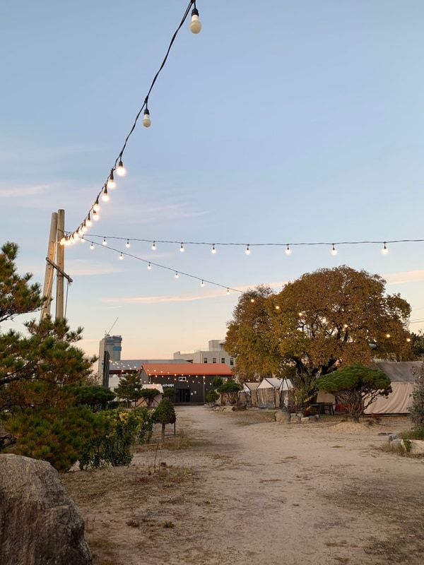 포항 아쿠아베이 글램핑 ️