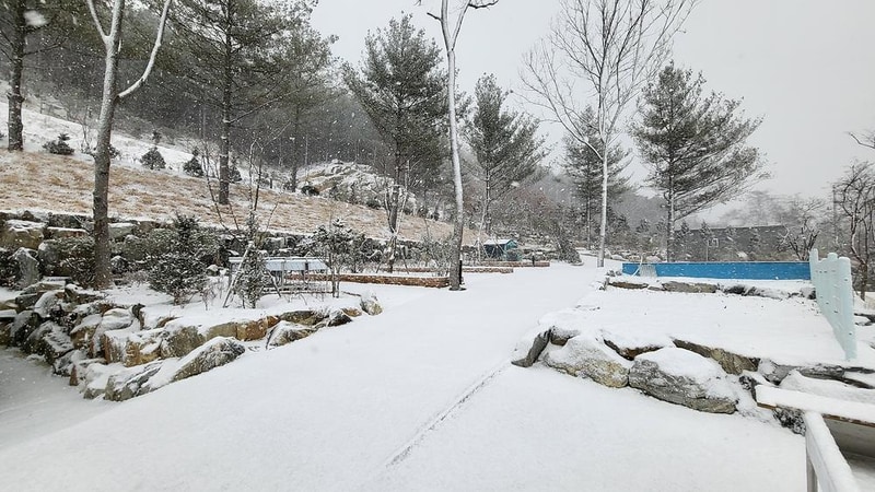 배방관광농원 시설 사진 24