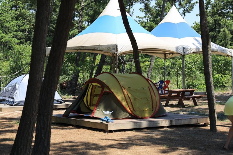 청포대숲속야영장 시설 사진 8