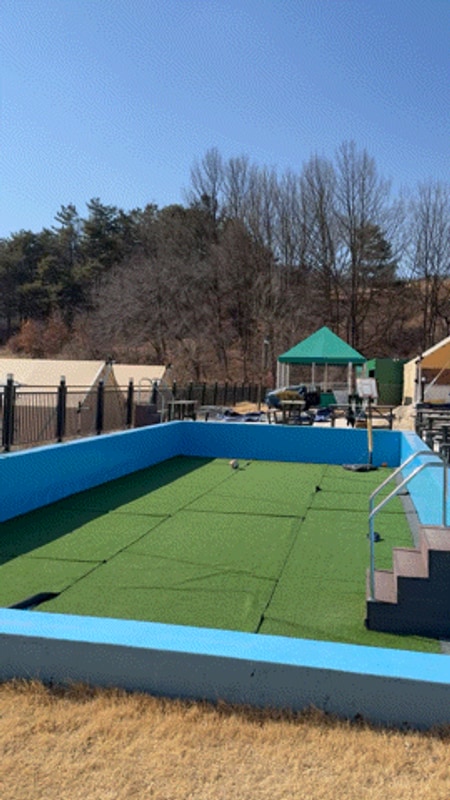 경북글램핑 칠곡 왜관 하이스트 글램핑장 애견동반 캠핑