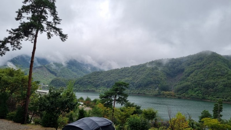 [충북 캠핑장] 가을 분위기 물씬 풍기는 "옥천 마로니에숲 캠핑장"