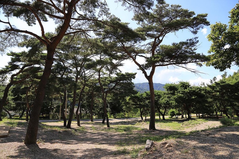 숲속의야영장 시설 사진 30