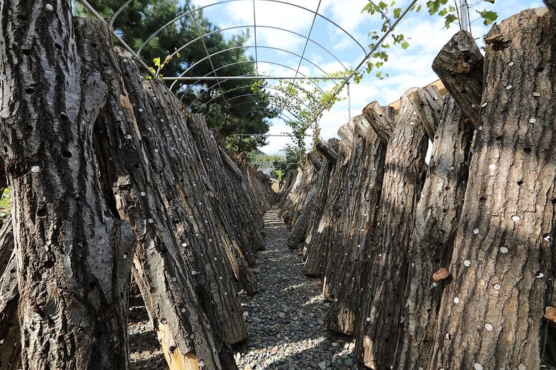 반딧불이 캠핑장 시설 사진 6