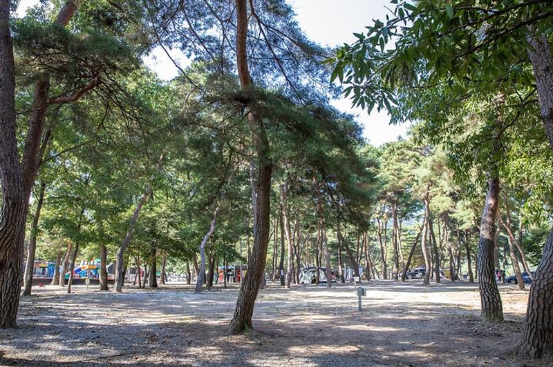 숲속의하모니 대표 사진