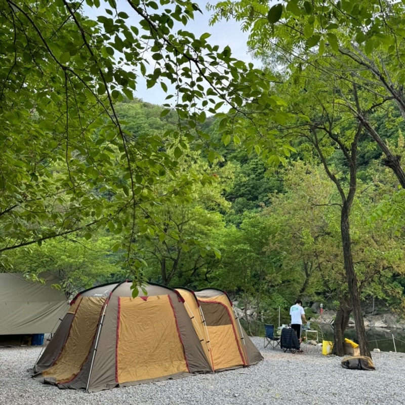 영월 캠핑장 추천 별마로빌리지캠핑장 C동 1박 후기
