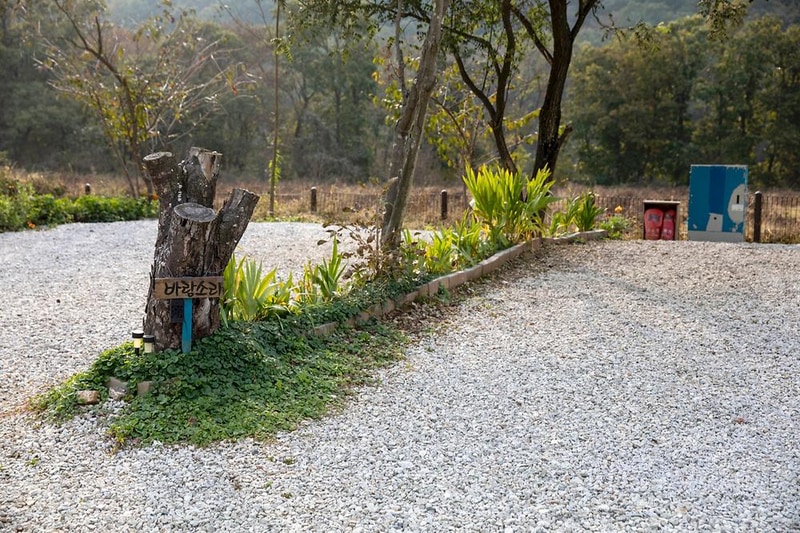 한탄강둘레길캠핑장 시설 사진 14