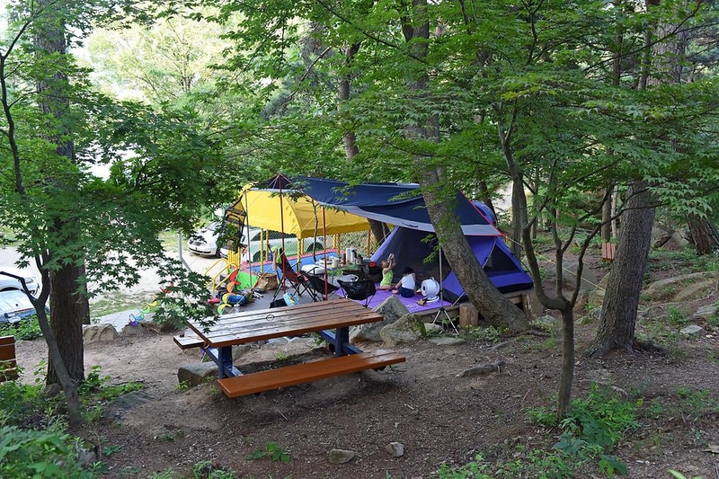 화왕산자연휴양림 시설 사진 8