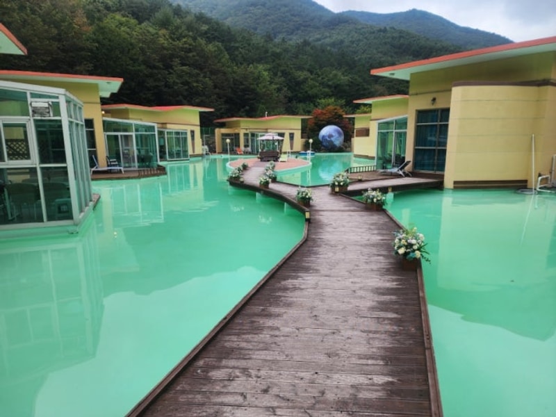 정선 여행 가볼만한 곳 한국의... 드위트리펜션 글램핑