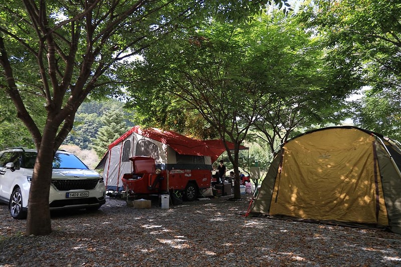 다 그린 시설 사진 2