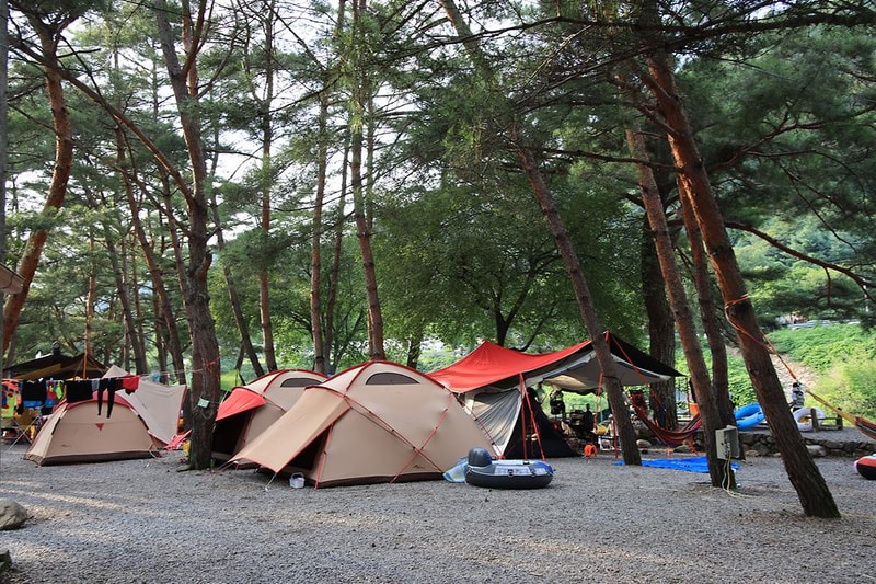 내리계곡 솔밭캠핑장 시설 사진 14