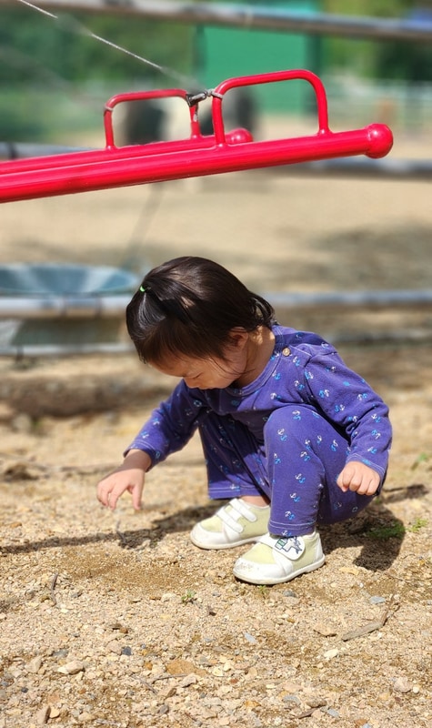 문경리우캠핑장 순한동물친구 만났어요