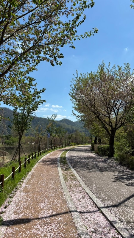 [인생 최초 글램핑 체험] 가평 BD7S 북두칠성 글램핑 카라반 펜션