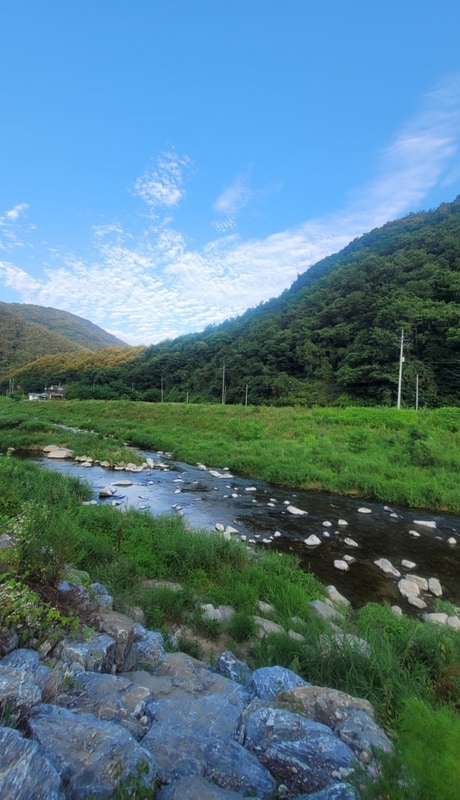 평창 [숲과개울 오토캠핑&펜션]... 이용하는 캠핑장 한 번 경험한...
