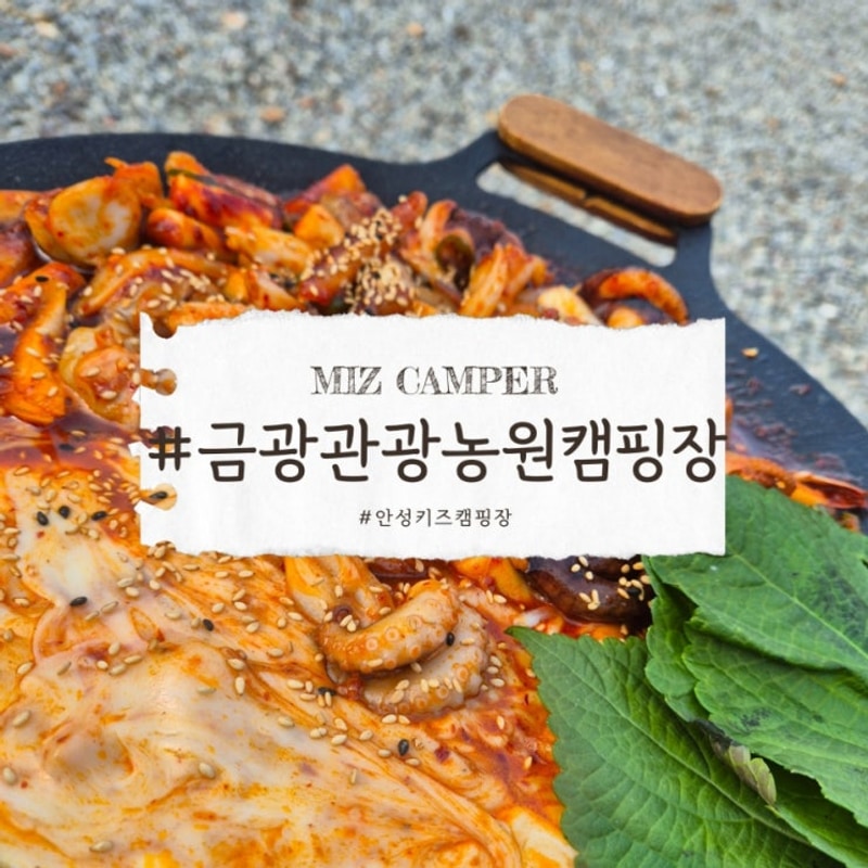 안성_금광관광농원 캠핑장_풋살,농구,당구,수영장,피씨방...