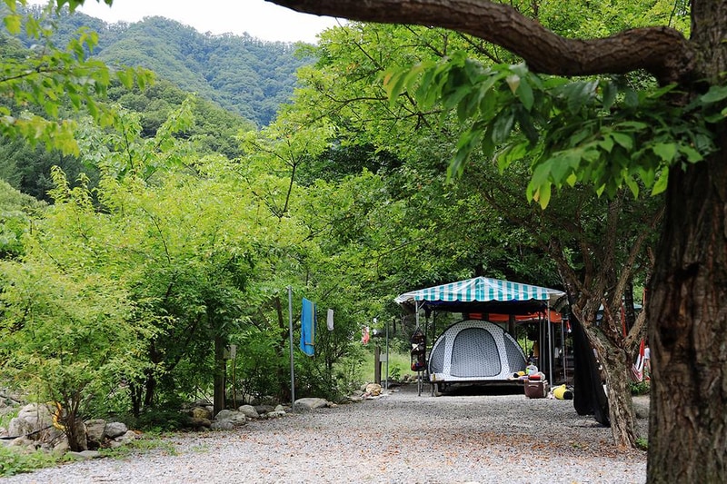 별천지야영장 시설 사진 1