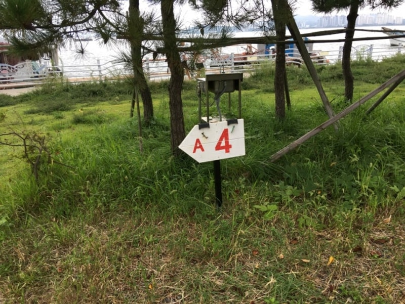 군산 버드오토캠핑장 솔직 후기 | A4 사이트 후기 | 아니 근데...