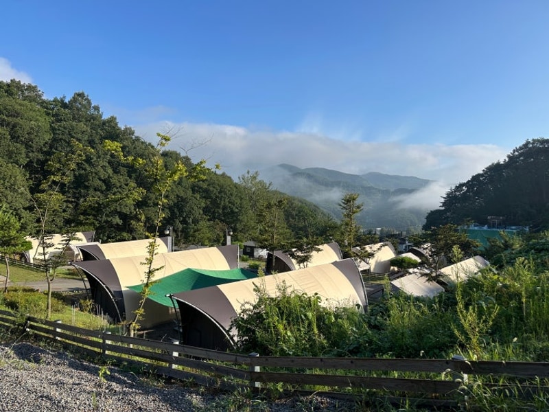 서울 근교 글램핑 천안 계곡 수영장 있는 몽키캠핑장 방문기