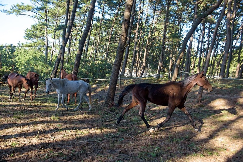 별헤는 밤 시설 사진 5