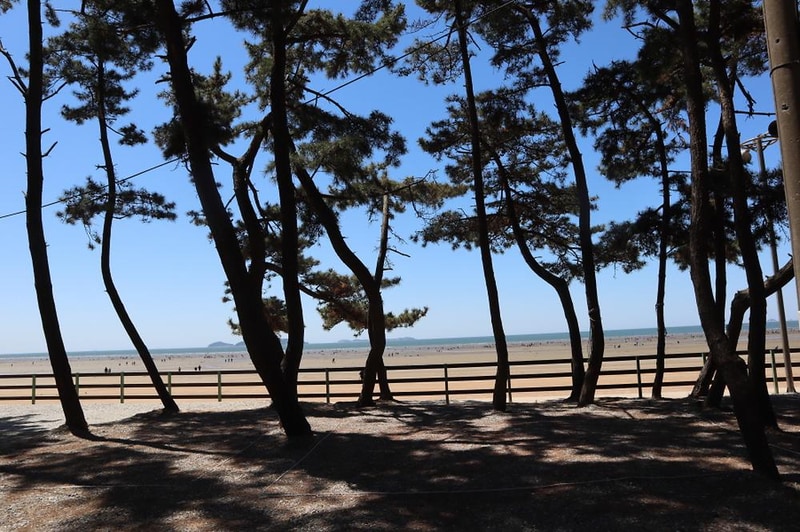 몽산포오토캠핑장 2구역 시설 사진 12