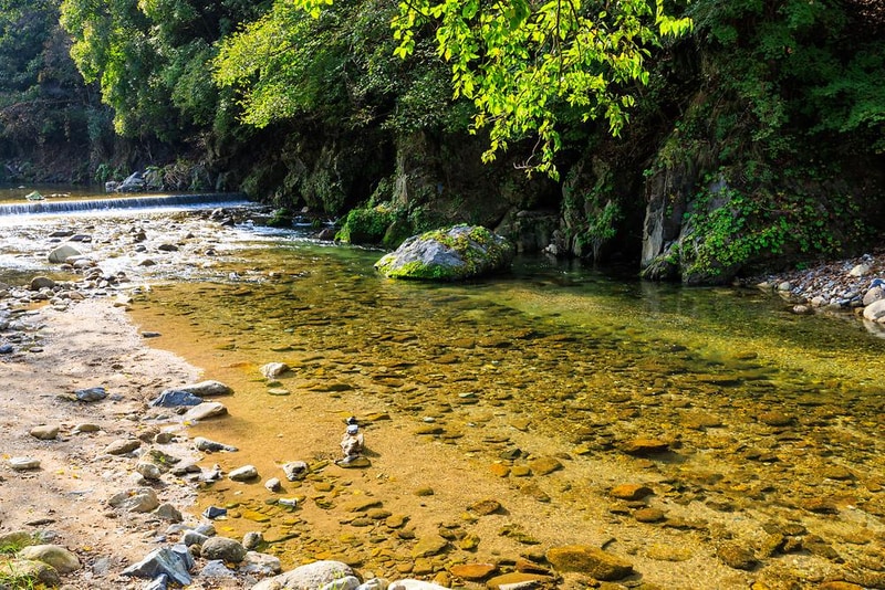 포레스트힐링캠프 시설 사진 7