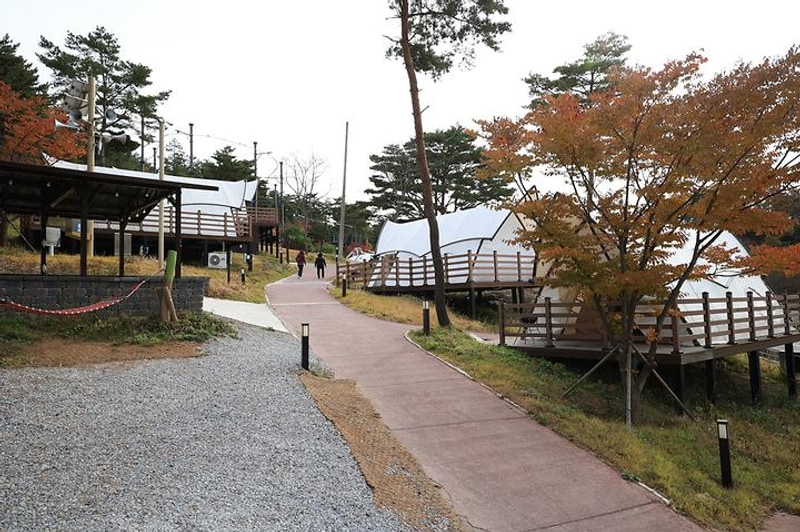 숲속야영장 대표 사진