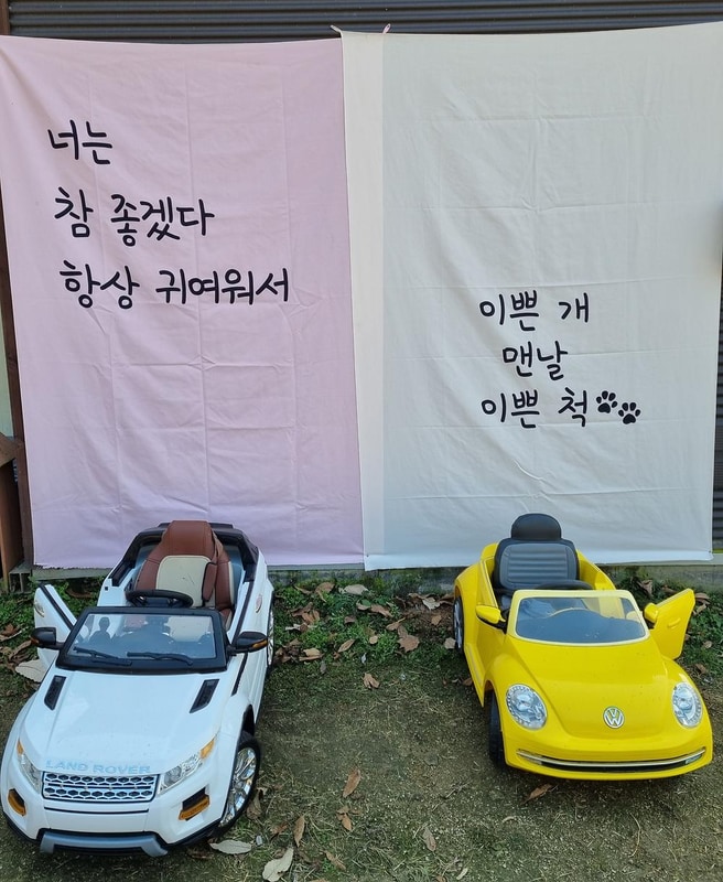 루파니애견캠핑장 시설 사진 25