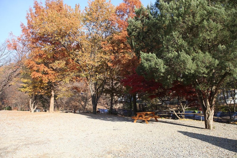 비학농원캠핑장 시설 사진 4