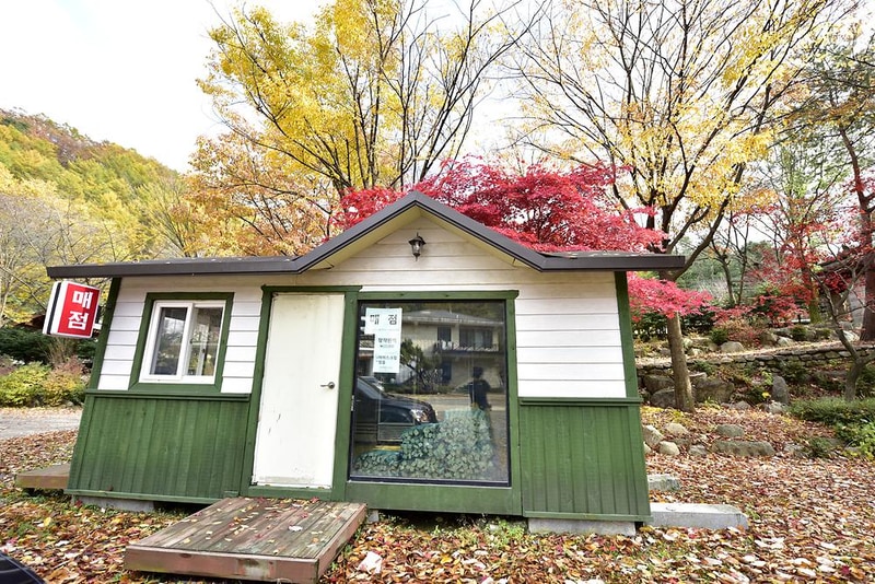 유명산밸리캠핑장 시설 사진 8