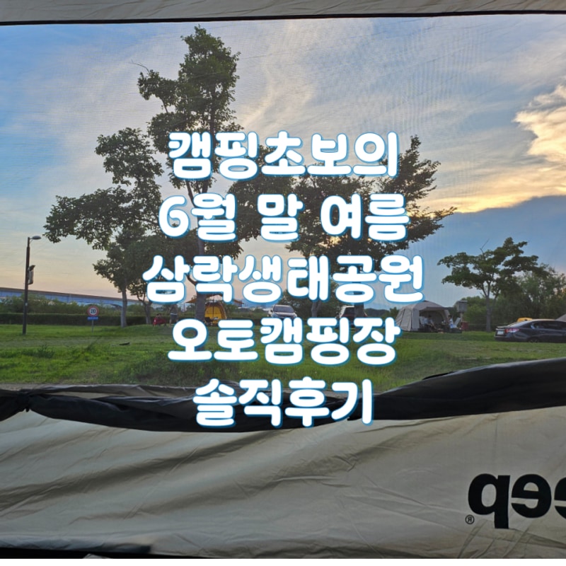 캠핑 초보의 6월 말 여름 부산 삼락생태공원 오토캠핑장 B22...
