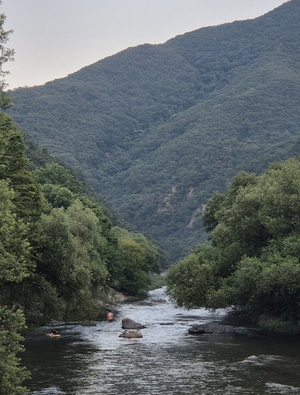 [캠핑일기 34] 수도권 계곡캠 양평 온누리캠핑장