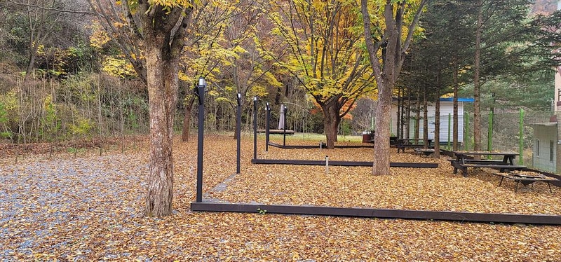 영월가자 펜션&캠핑장 시설 사진 16