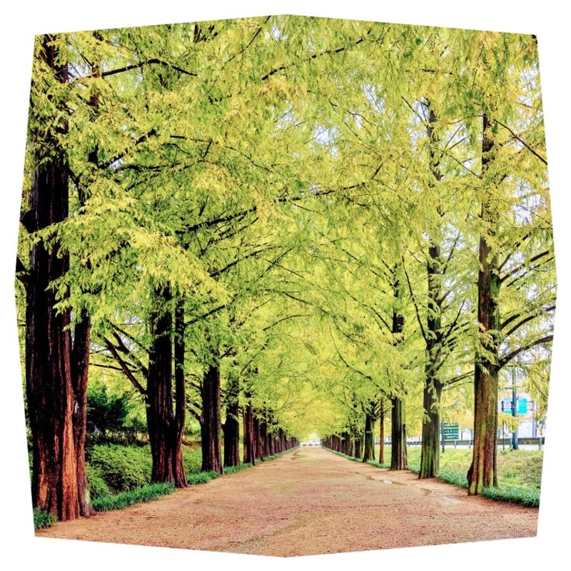 공주 장승마을 카라반에서 만나는 자연과 전통의 특별한 하루