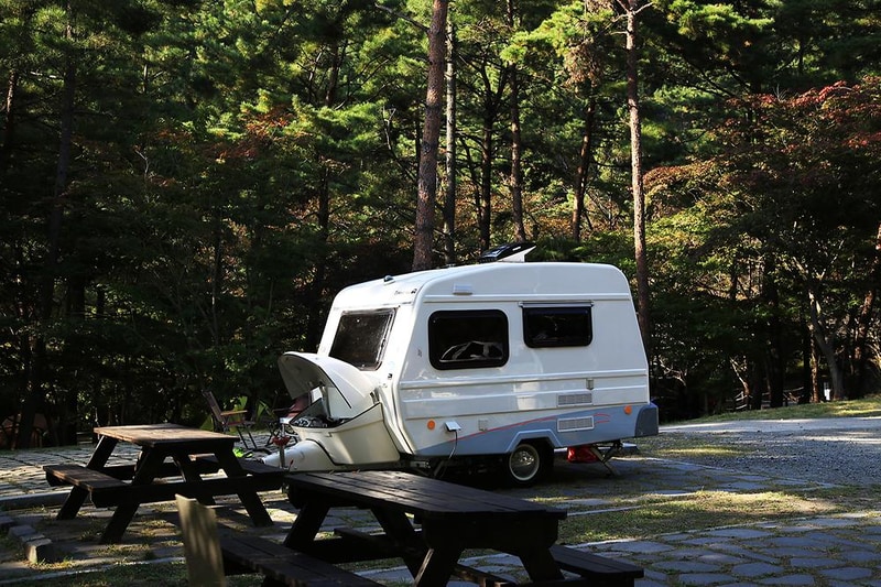 희리산해송자연휴양림 자동차야영장 시설 사진 12