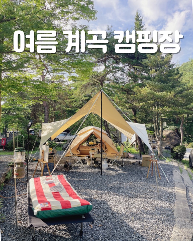 충북 제천 반려견 동반 계곡캠핑장|️드래곤오토캠핑장...