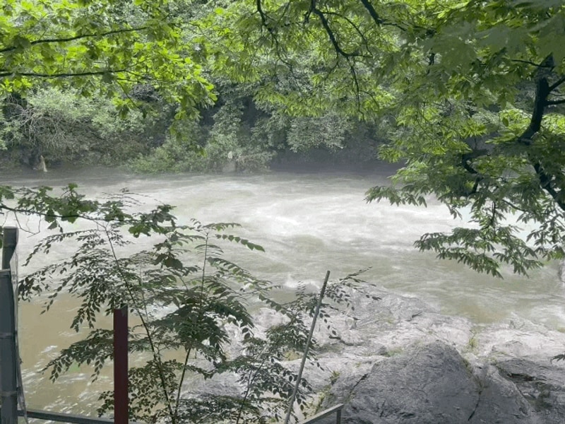 [가평] 취사 가능 수심 깊은 계곡 펜션 캠핑장 “자우림캠핑장”