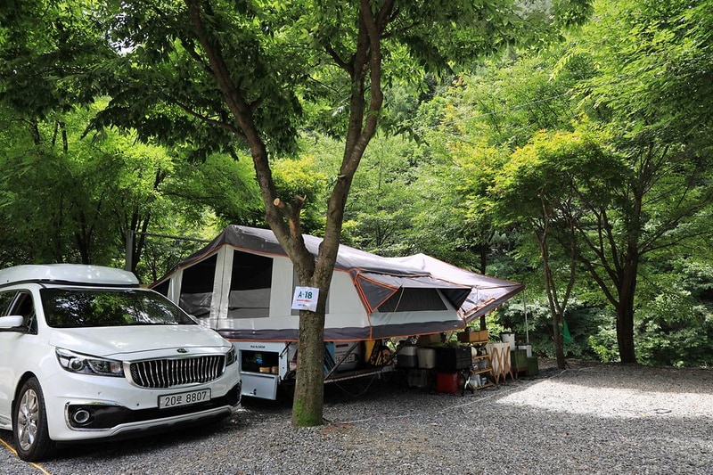 맑은물소리캠핑장 시설 사진 30