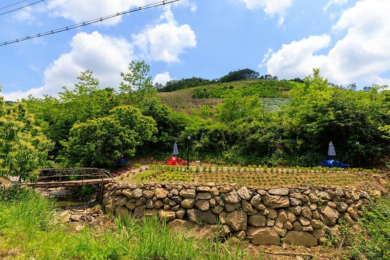 서리실 힐링 가족캠핑장 시설 사진 15