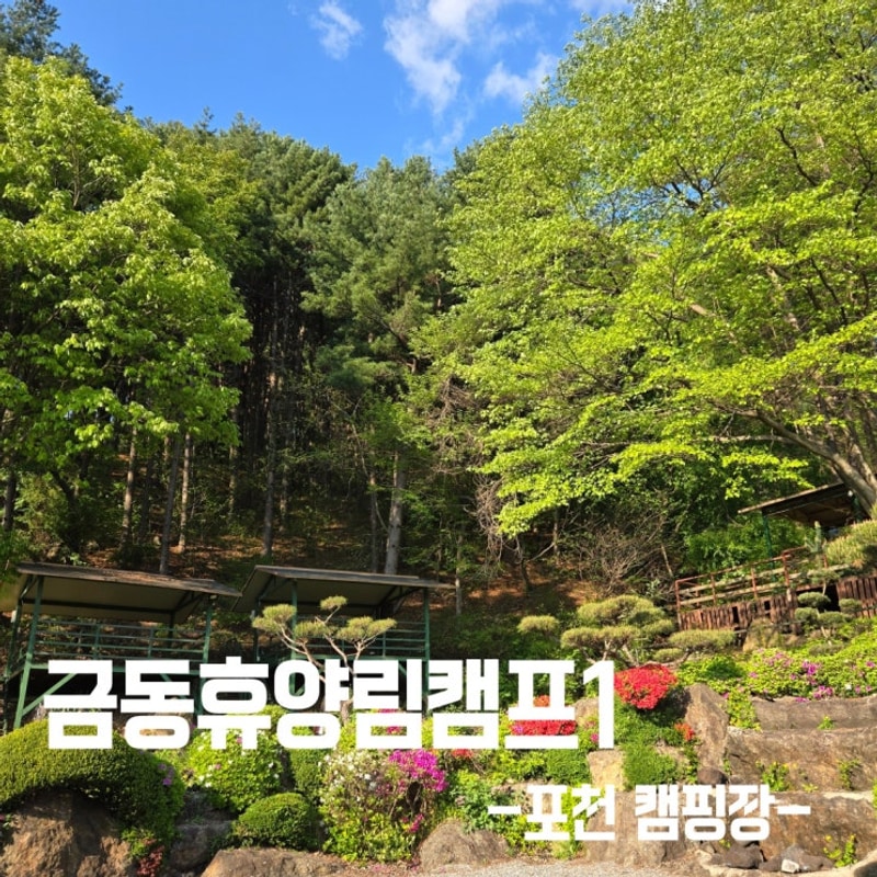 서울 근교 포천캠핑장)금동휴양림캠프1 3박4일 파쇄석 28번...