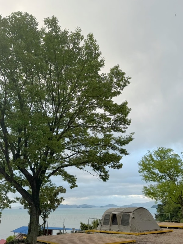 전남 오션뷰 캠핑장 장흥 별빛밤바다 또 가고싶은 곳❤️